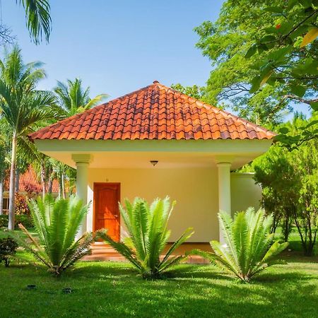 Pato Canales Hotel & Resort San Luis Exterior photo